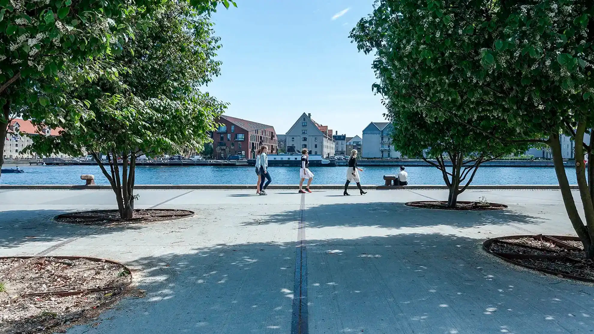 Trees and people taking a walk along the dock of the harbor in Copenhagen.