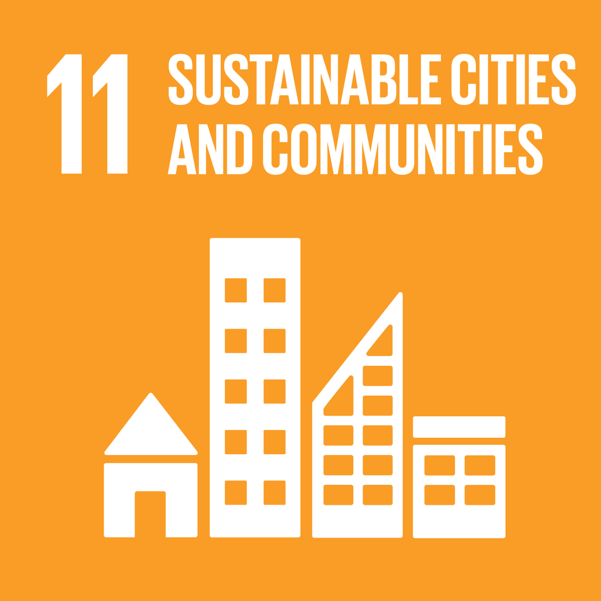 SDG 11 Image