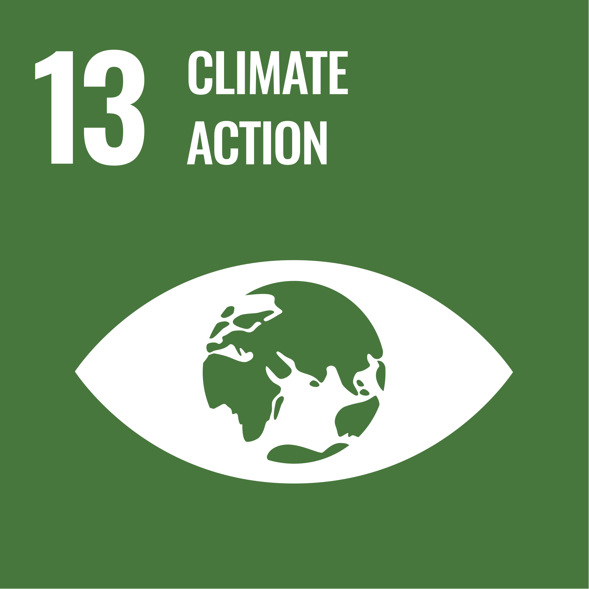 SDG 13 Logo