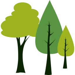 Chronic Disease Management