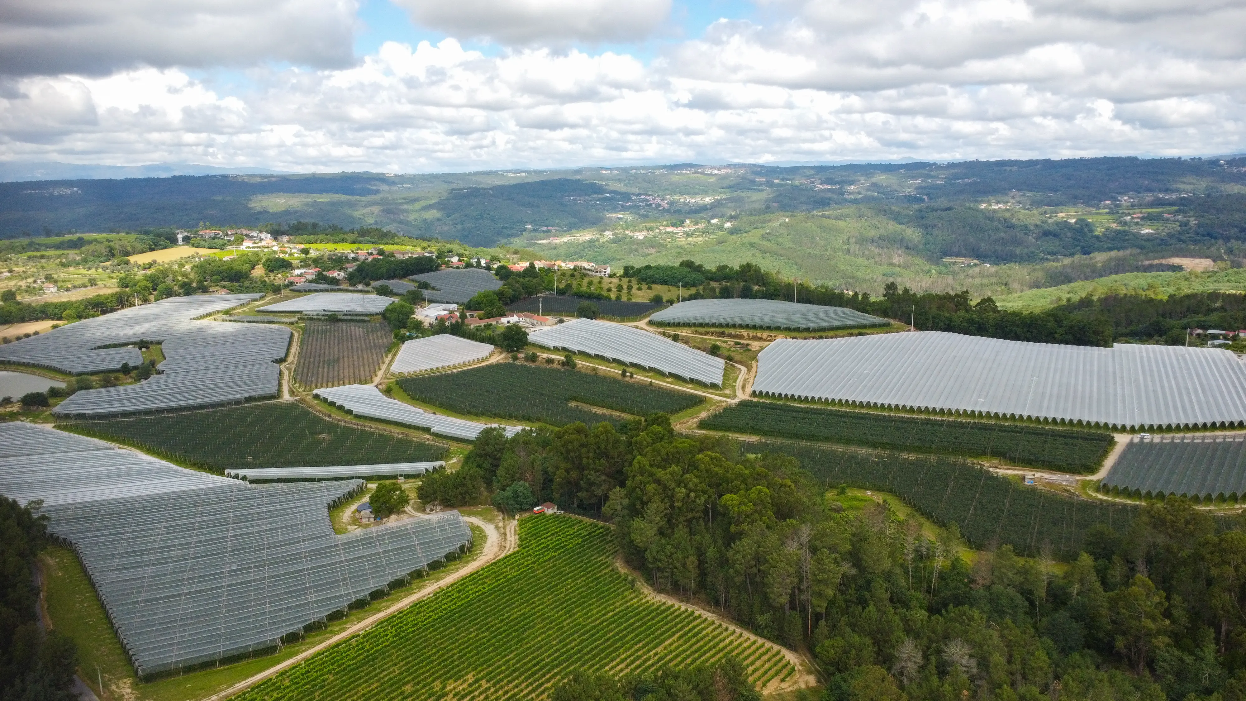 Vista aérea de terrenos agrícolas cobertos por estufas transparentes, rodeados por colinas verdes e céu parcialmente nublado.