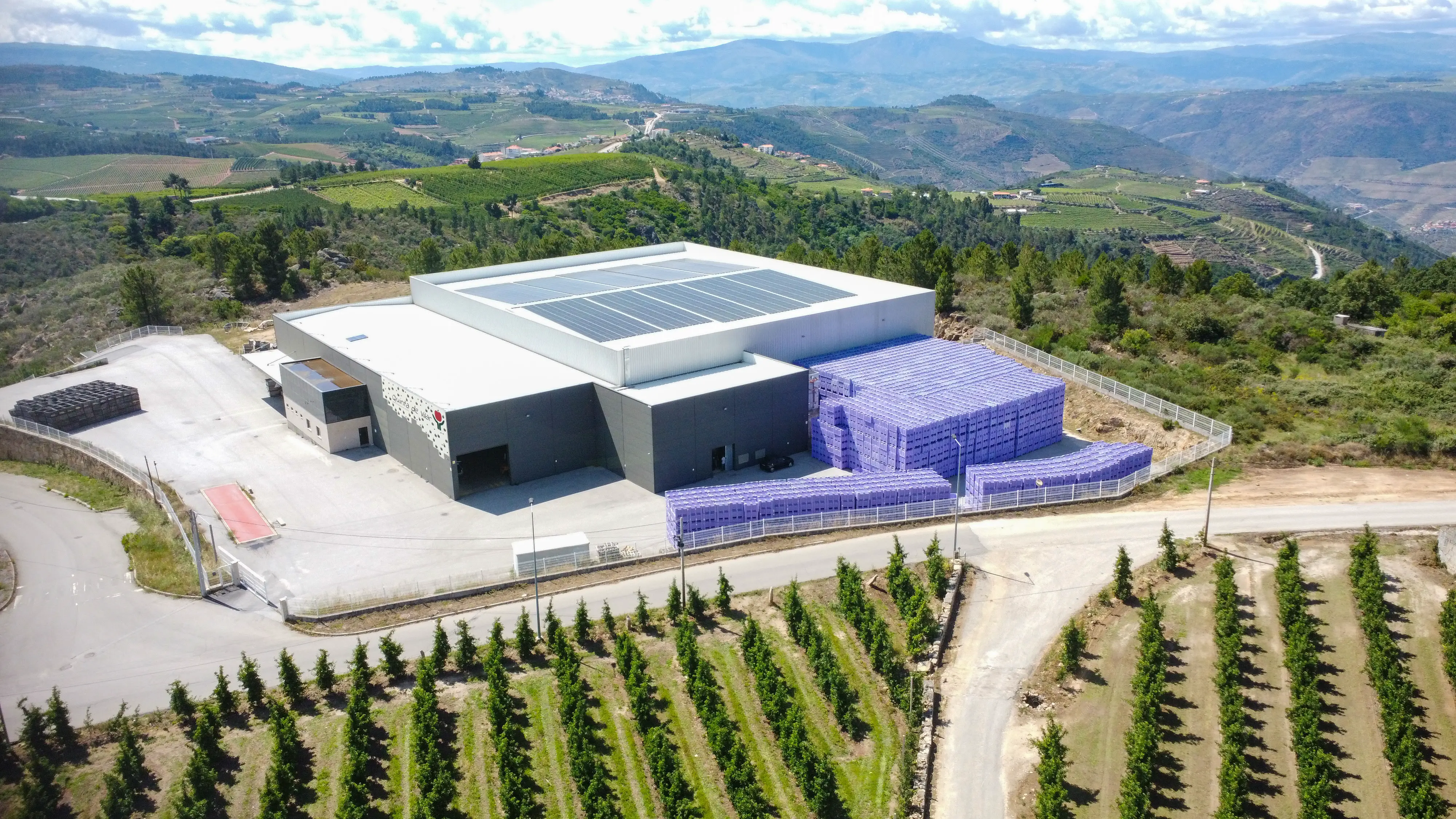 Edifício industrial moderno com painéis solares no telhado rodeado por caixas roxas empilhadas e vinhas verdes em paisagem montanhosa.