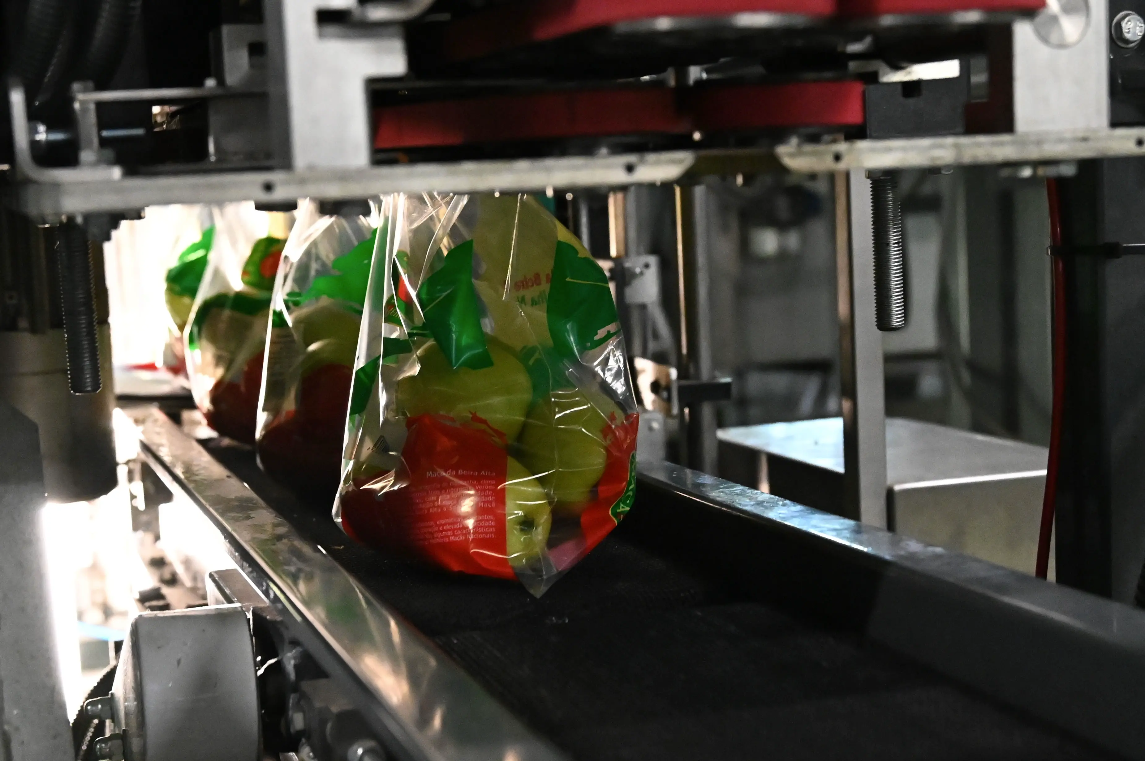 Sacos de maçãs embaladas numa linha de produção automática.