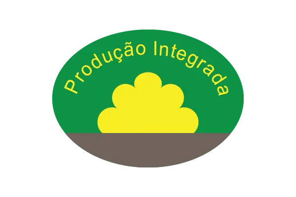 Logótipo com uma figura abstrata amarela sobre um fundo verde e texto amarelo a dizer Produção Integrada.