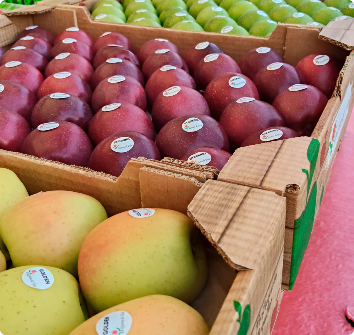 Maçãs verdes, vermelhas e amarelas organizadas em caixas de cartão com etiquetas de variedade.