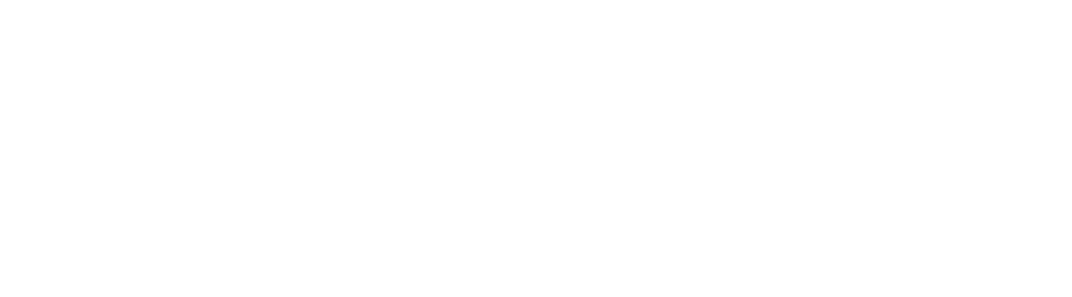 Cartaz da Associação Macaca Porto, apresentando participação em eventos comunitários e promoção do macaquismo com fotos e texto descritivo.