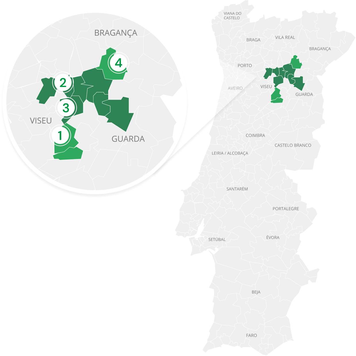 Mapa de Portugal destacando em verde várias regiões nas áreas de Viseu, Guarda, e Bragança, com um zoom indicando quatro zonas numeradas de 1 a 4 entre estas regiões.