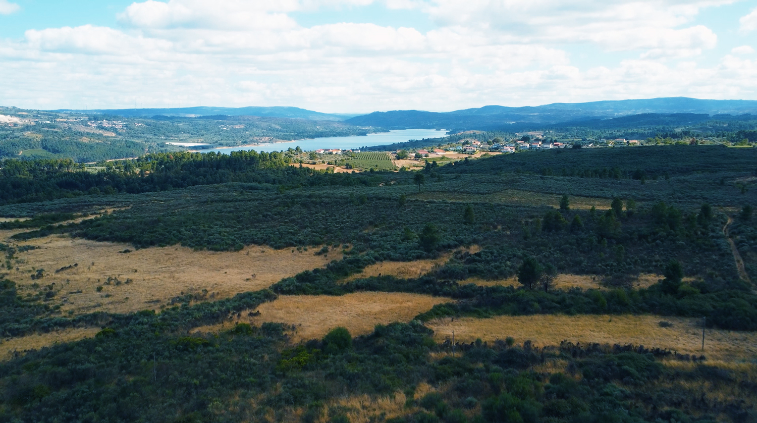 Vista aérea do edifício moderno da Quinta de Vilar com painéis solares no telhado e carros estacionados à frente.