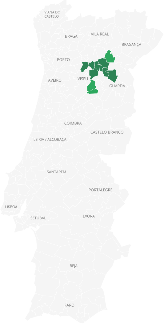 Mapa de Portugal destacando em verde várias regiões nas áreas de Viseu, Guarda, e Bragança, com um zoom indicando quatro zonas numeradas de 1 a 4 entre estas regiões.