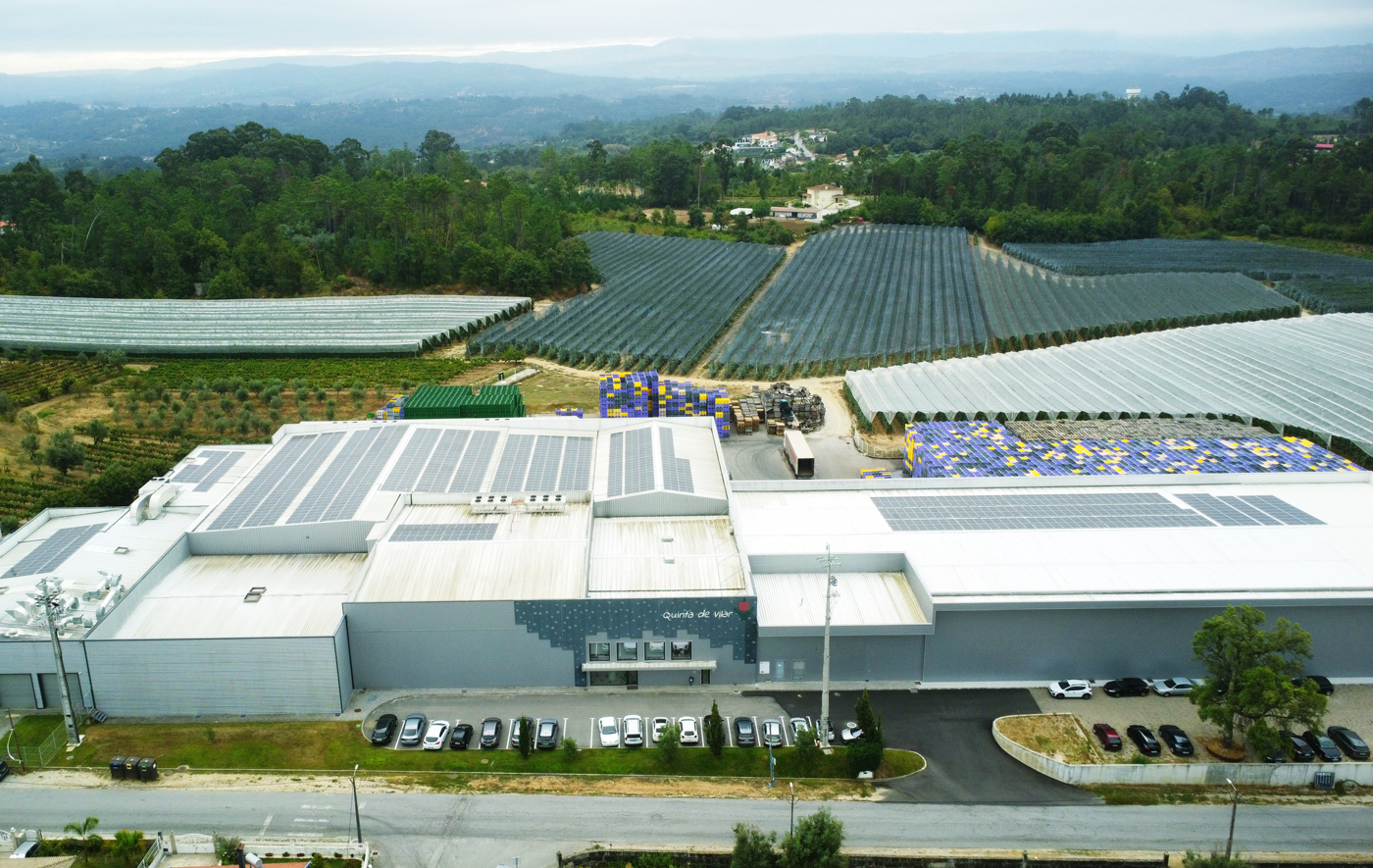 Mapa de Portugal destacando em verde várias regiões nas áreas de Viseu, Guarda, e Bragança, com um zoom indicando quatro zonas numeradas de 1 a 4 entre estas regiões.