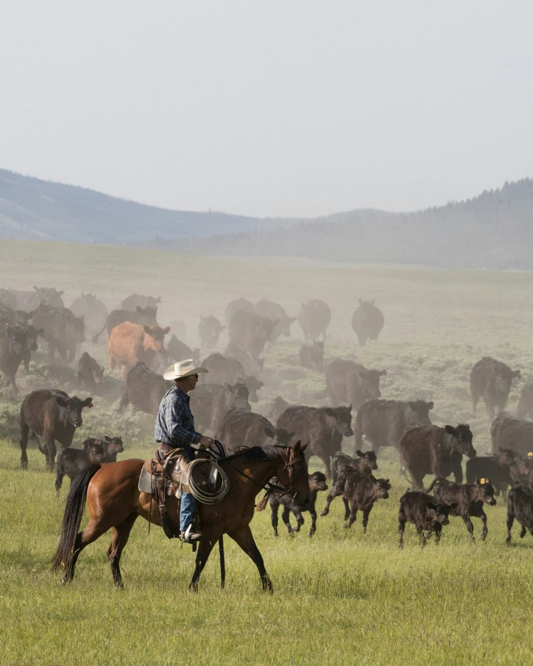 Producer using DIT technology in the field