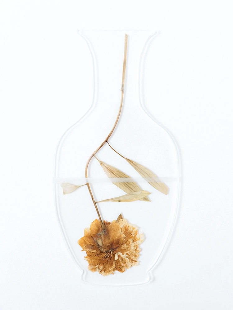 Pressed flower and stem sandwiched between two transparent vase-shaped plexiglass sheets, secured with a rubber band.