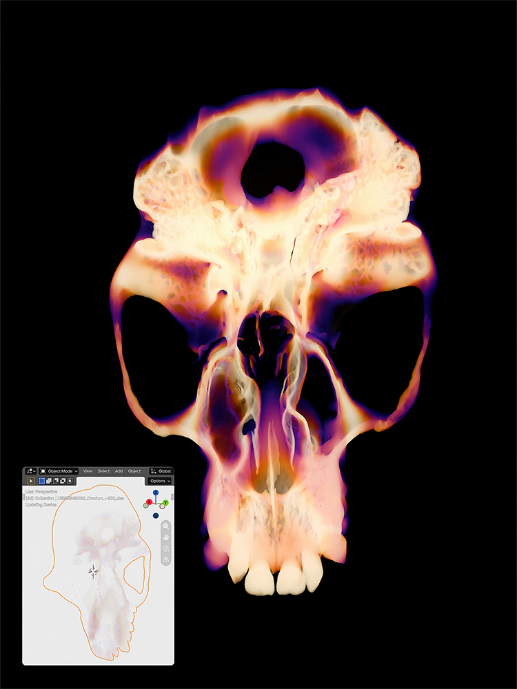 False-color skull visualization with an inset showing the skull model in a Blender viewport.