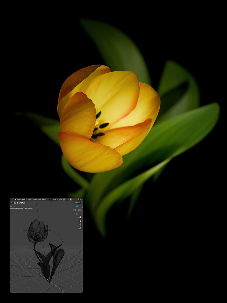 Close-up render of a yellow-orange tulip against a black background, with a Blender viewport inset showing the flower as a wireframe model.