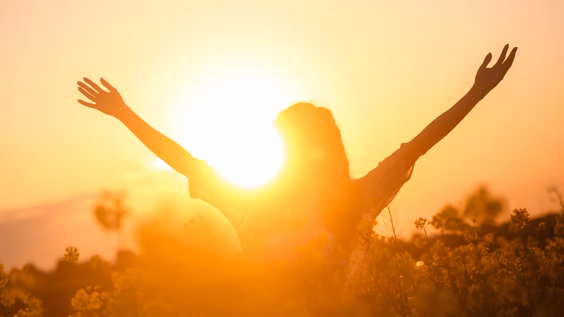 Emerveillement face au coucher de soleil en nature