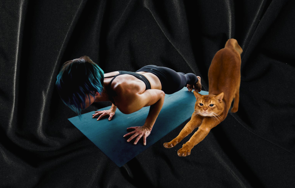 Woman with blue hair doing a yoga plank pose on a blue mat beside an orange cat stretching on a black fabric background.