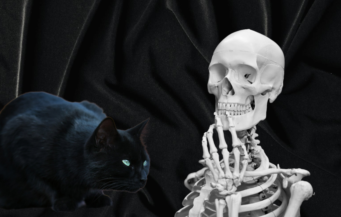 Black cat with green eyes crouching next to a human skeleton model against a black fabric background.