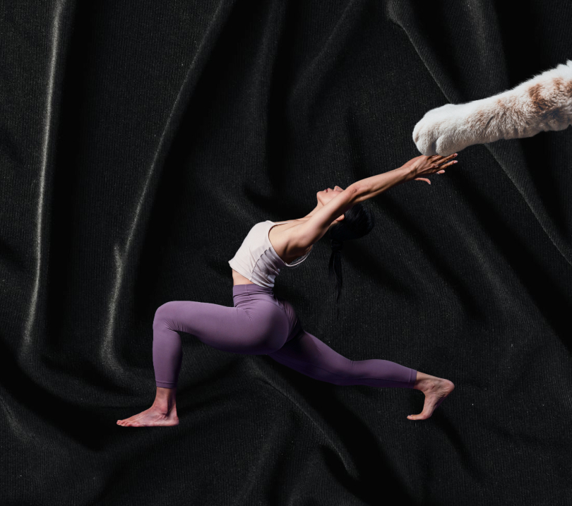 Woman in purple leggings and white top doing a warrior yoga pose, reaching out to touch a cat's extended paw on a black fabric background.