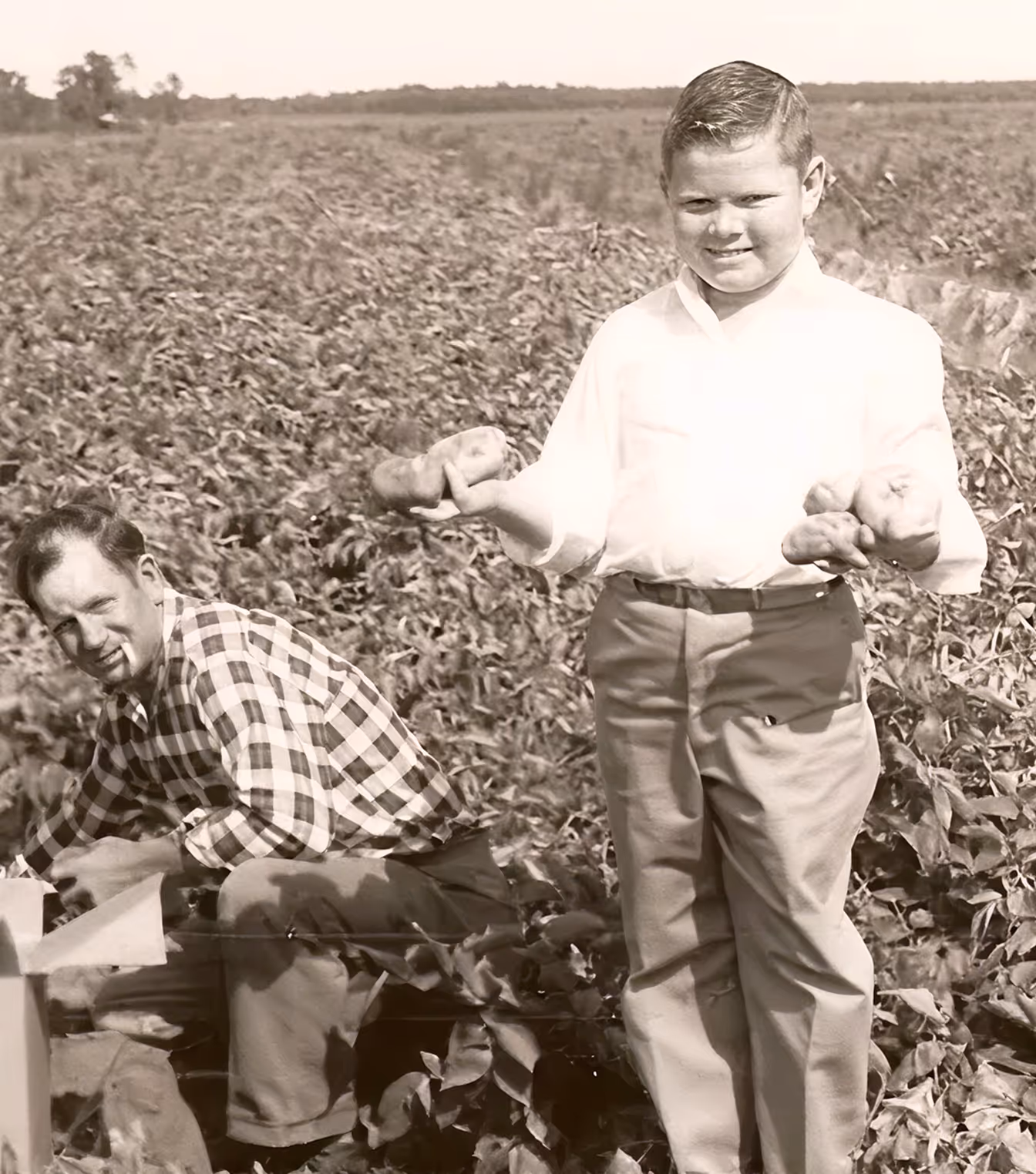 Black and white photo of a boy holding large potatoes and a man crouching in a field, packing potatoes into a box.