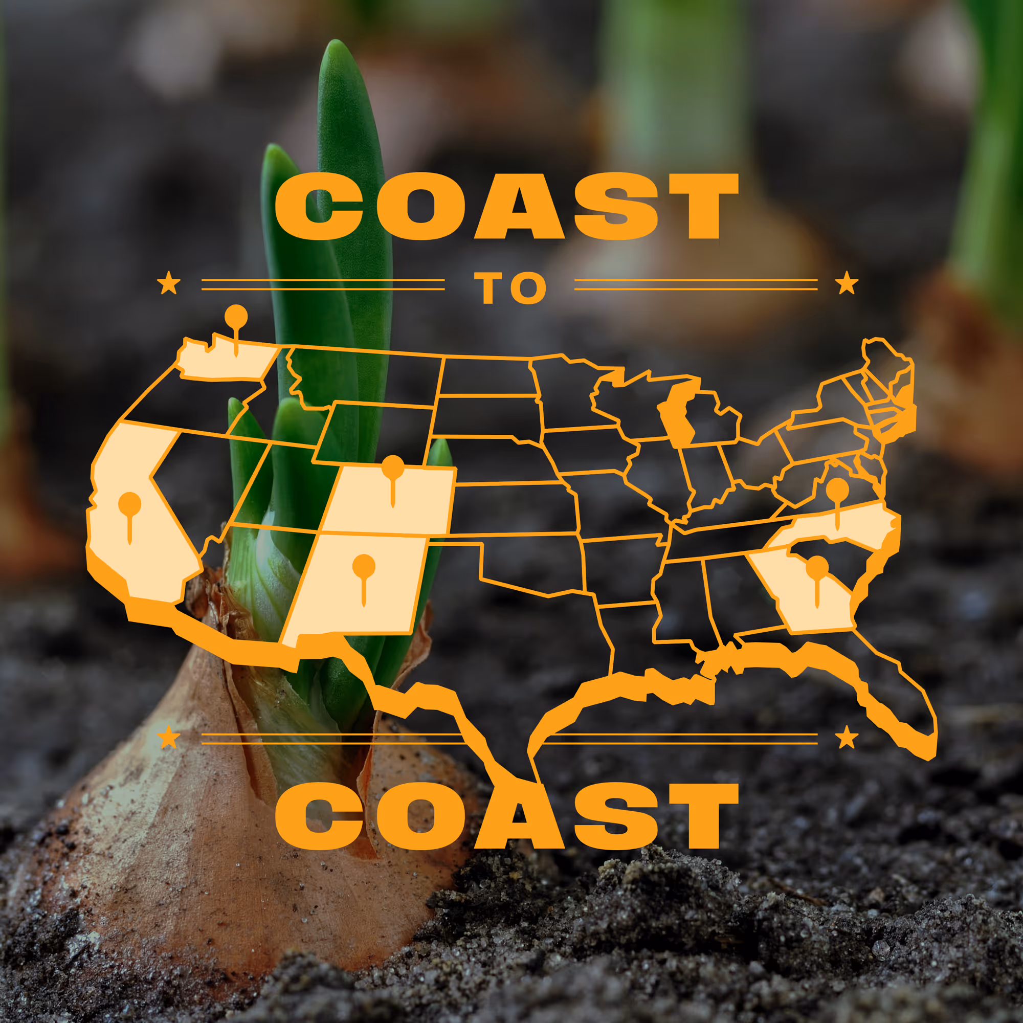 Close-up of a sprouting onion in soil with an orange overlay of a U.S. map highlighting several states and the text 'Coast to Coast'.
