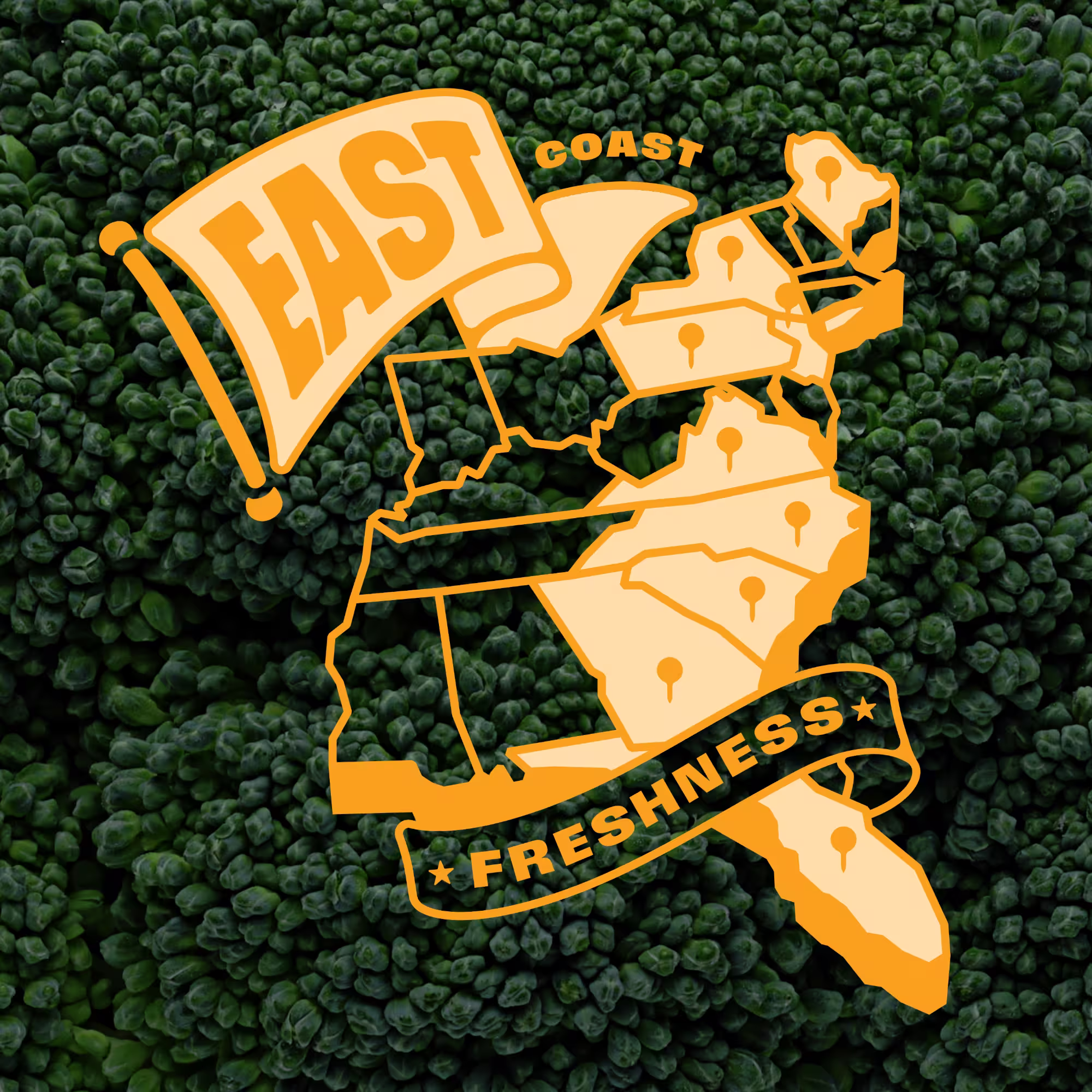 Overlay map of the U.S. East Coast states with location pins on a close-up background of fresh broccoli, featuring text 'EAST COAST FRESHNESS'.