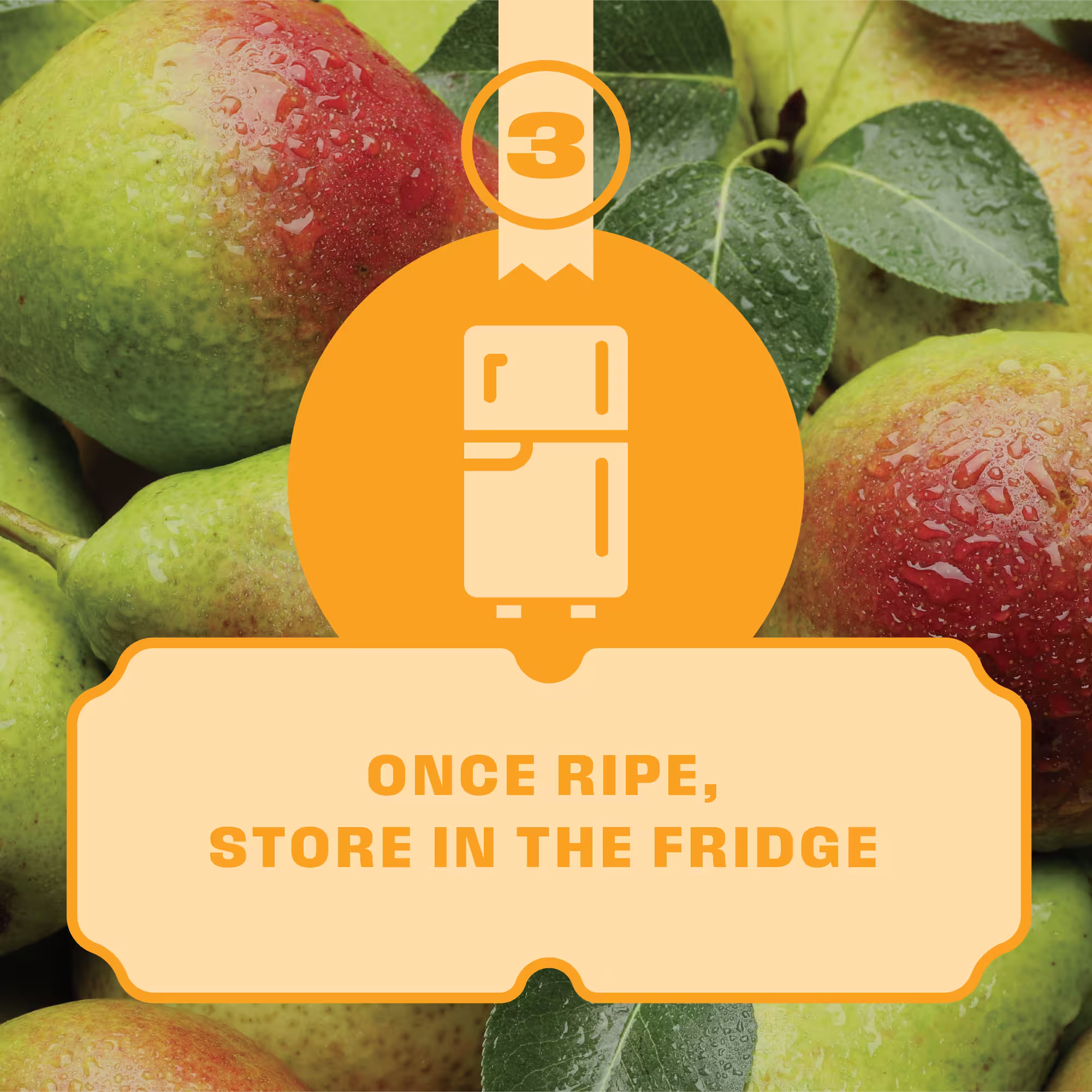 Close-up of ripe pears with water droplets and an overlay saying 'Once ripe, store in the fridge' with a refrigerator icon and the number 3.