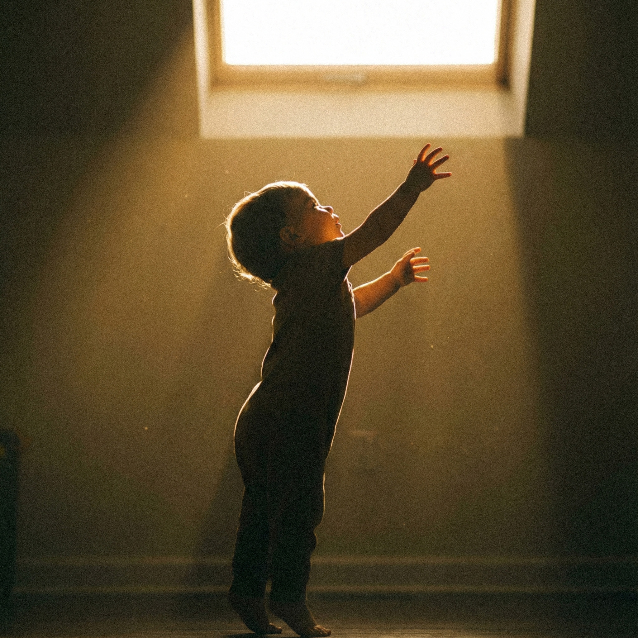 A young child reaching up toward a bright window with sunlight streaming in a dim room.