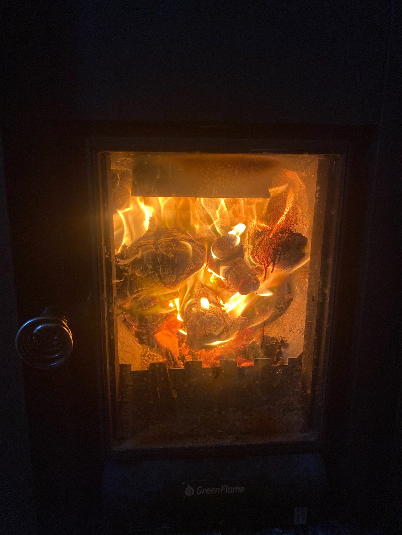 Wood burning inside a GreenFlame enclosed stove with visible bright flames and glowing embers.