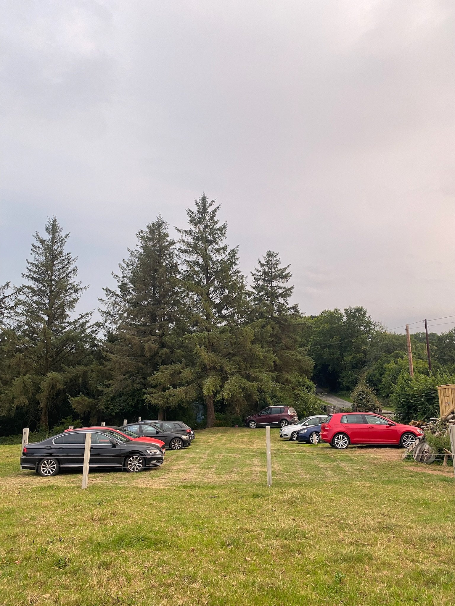Cars parked on a grassy field bordered by tall evergreen trees under a cloudy sky.