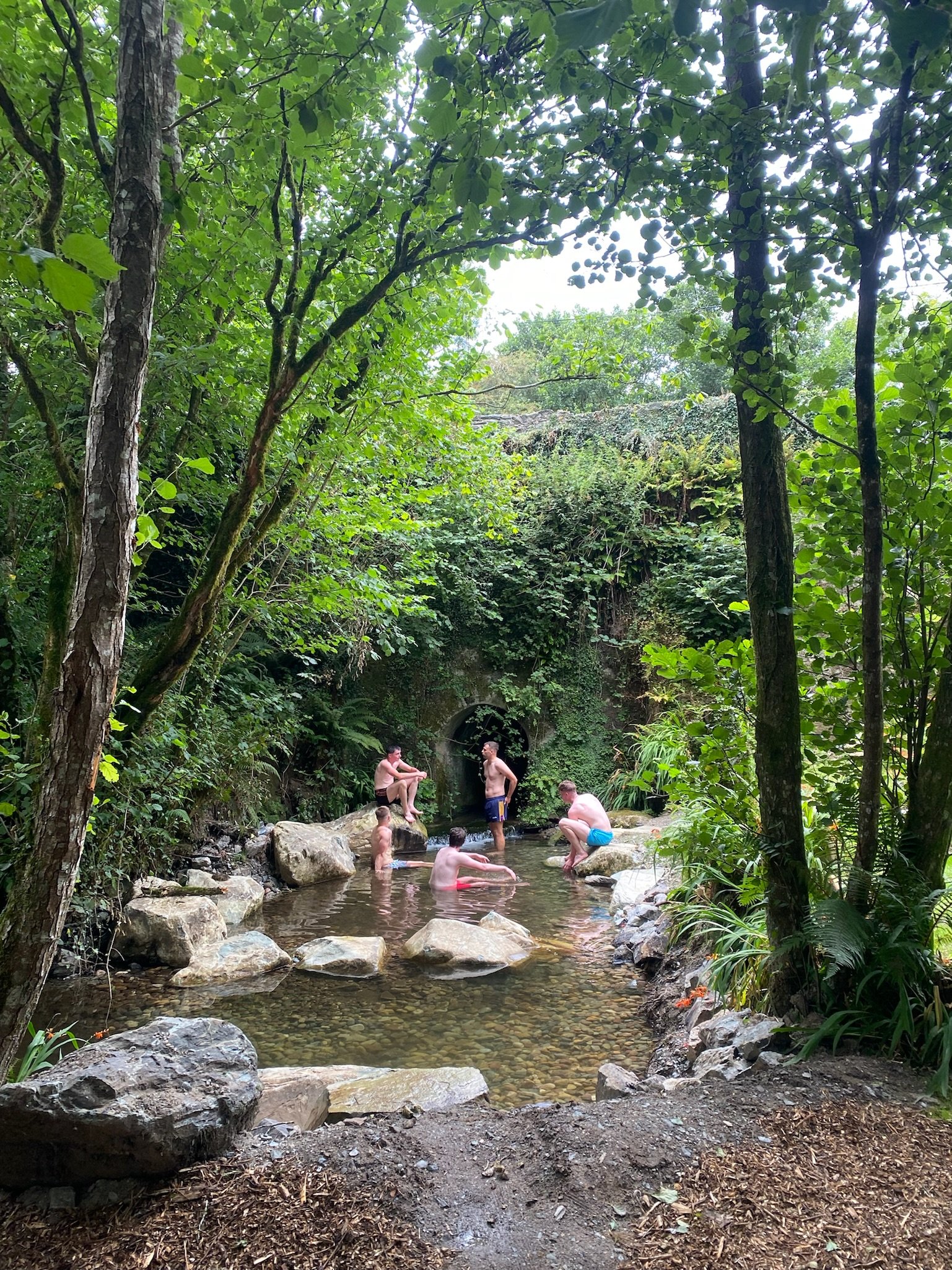 Five young men swimming and sitting on rocks in a shallow wooded pond near a tunnel covered with greenery.