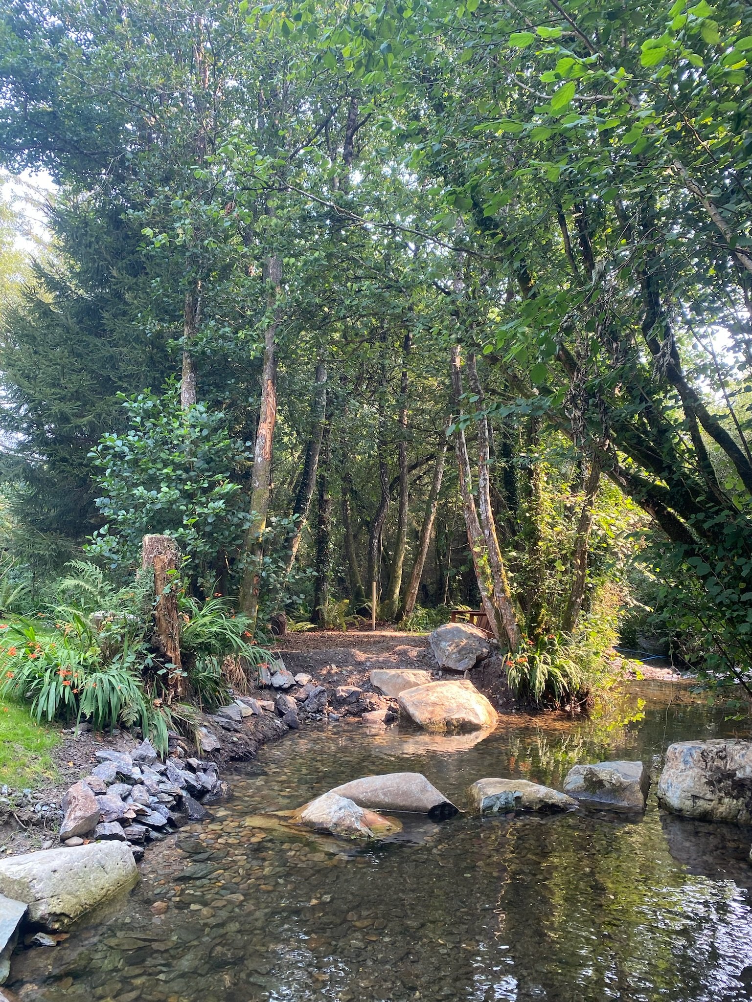 Clear shallow stream with stepping stones leading to a forested area with dense green trees and plants.