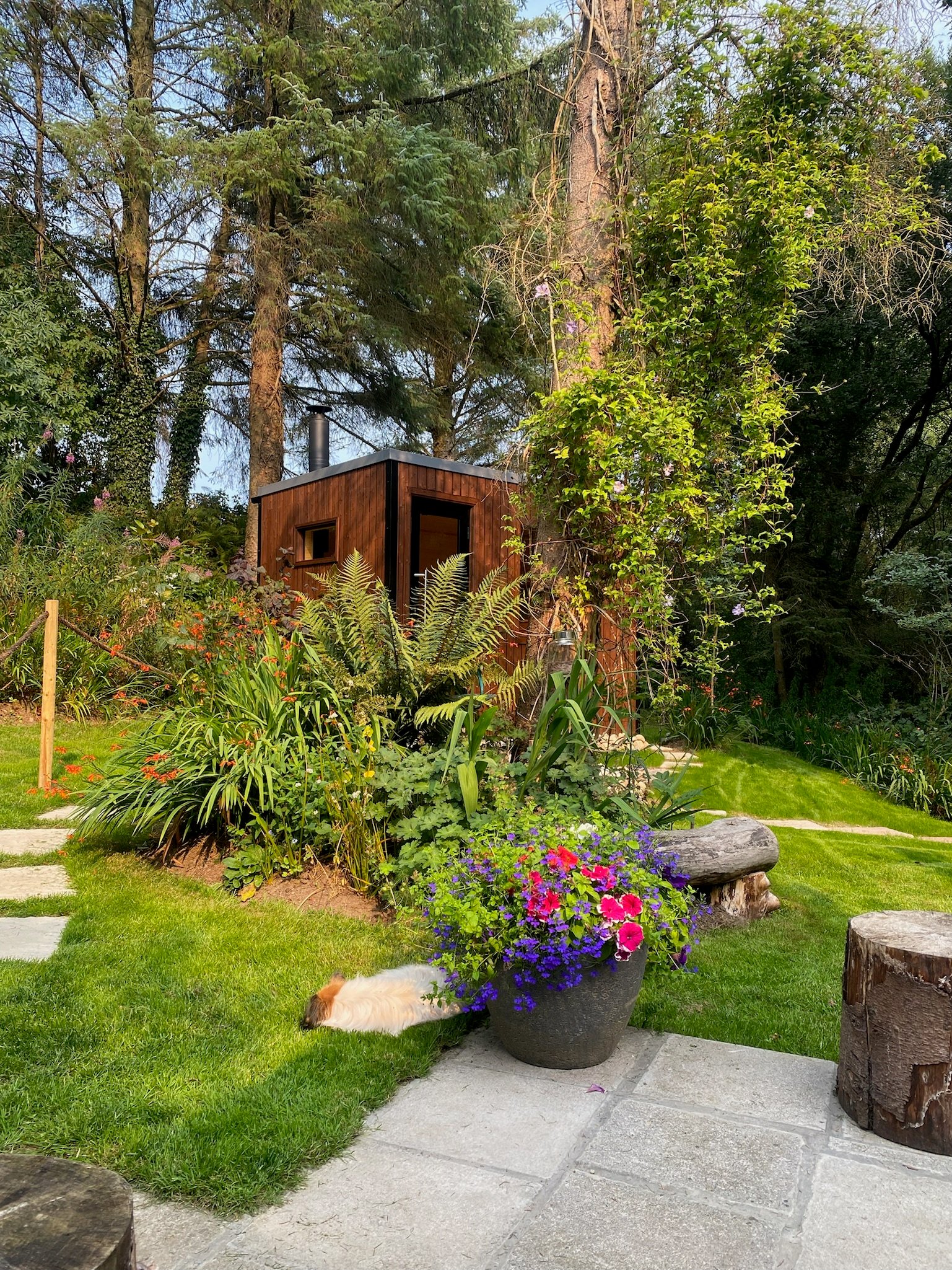 Small wooden cabin surrounded by lush garden with green plants, colorful flowers in a pot, and a dog lying on the grass.