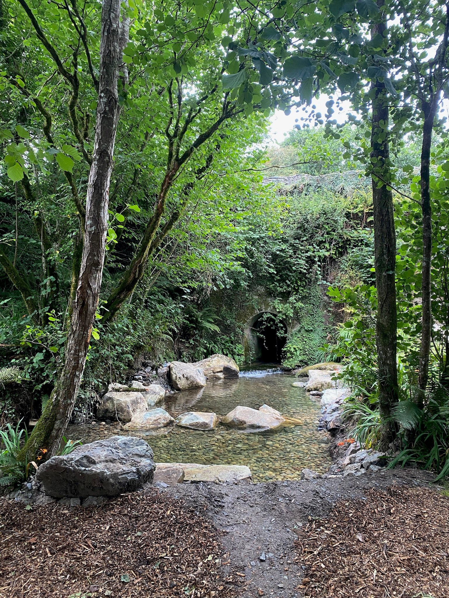 A clear shallow stream with rocks flowing through a green forest with a circular tunnel entrance covered in vegetation ahead.