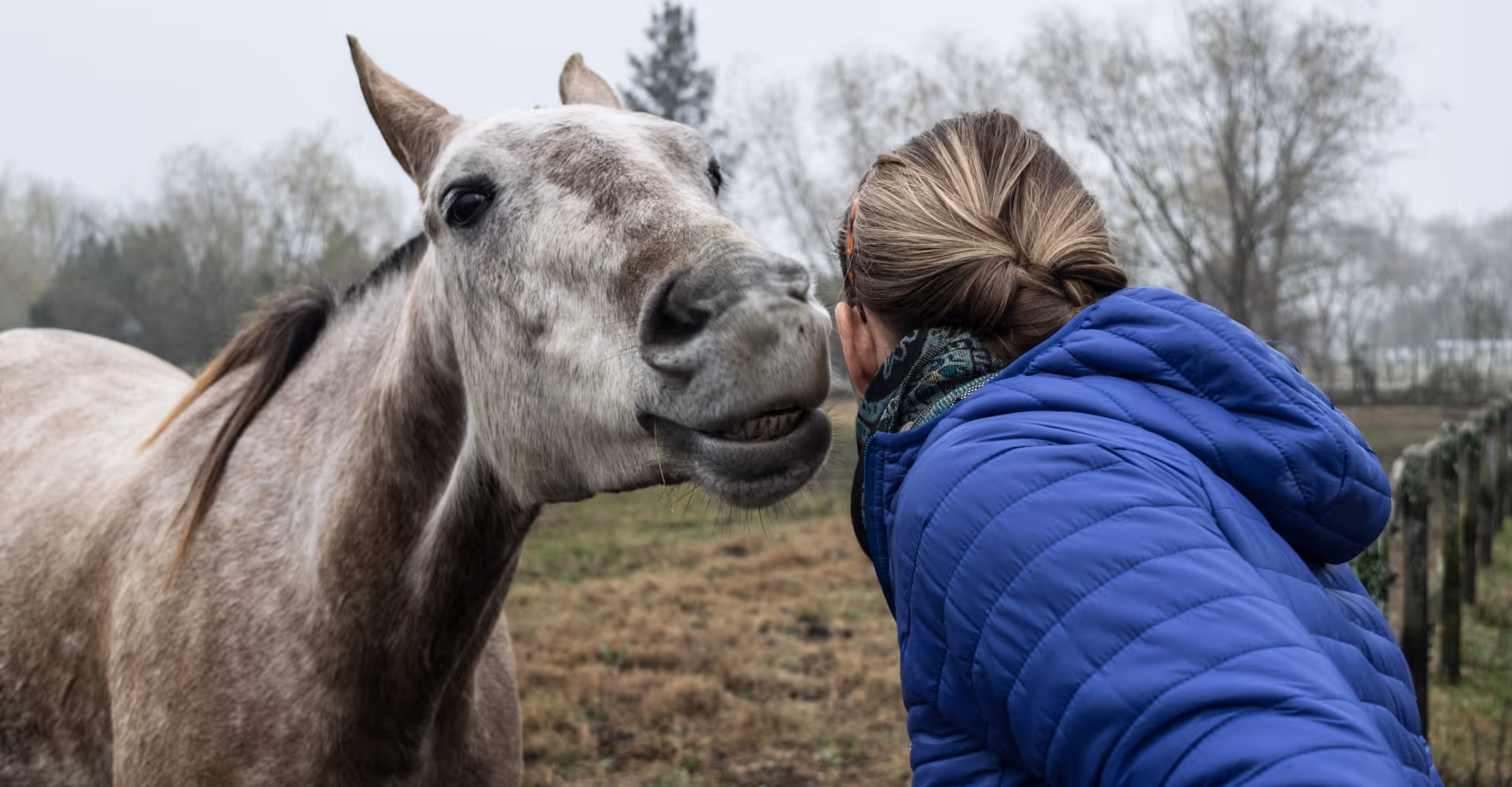 Ein graues Pferd flüstert einer Frau ins Ohr.