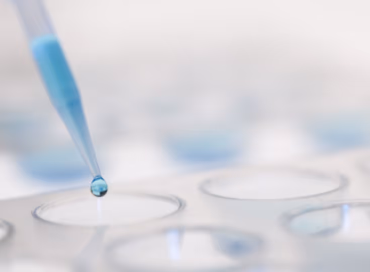 Close-up of a pipette dispensing a blue liquid drop into a well plate for laboratory testing.