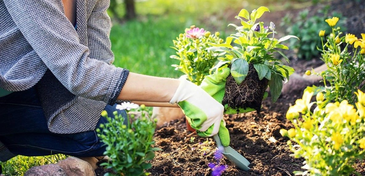 Hagearbeid - Skap en hage som gjør deg godt
