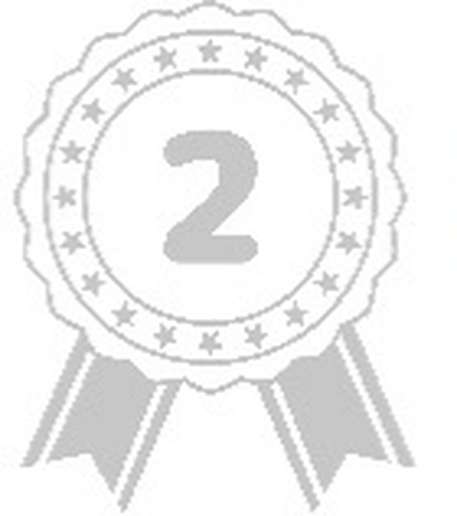 Rank 2 badge