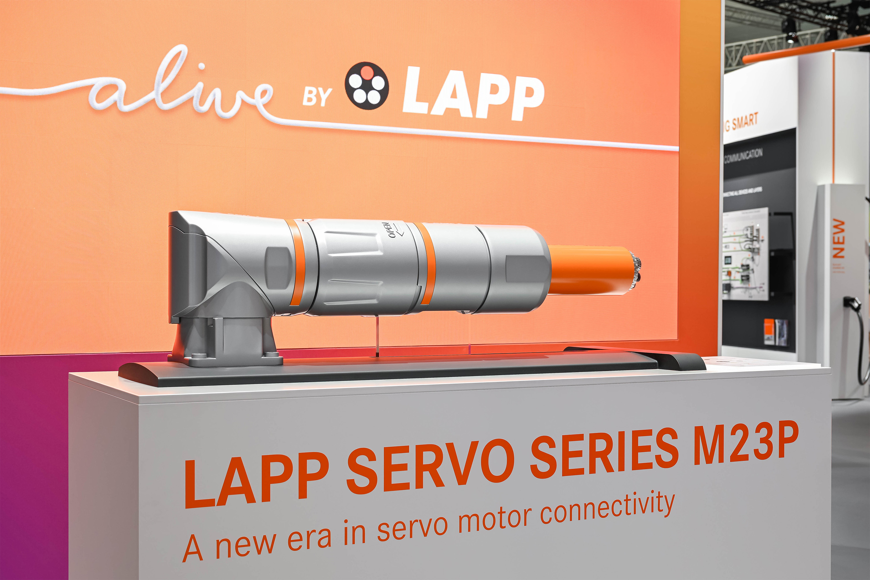 Hands holding with rings.