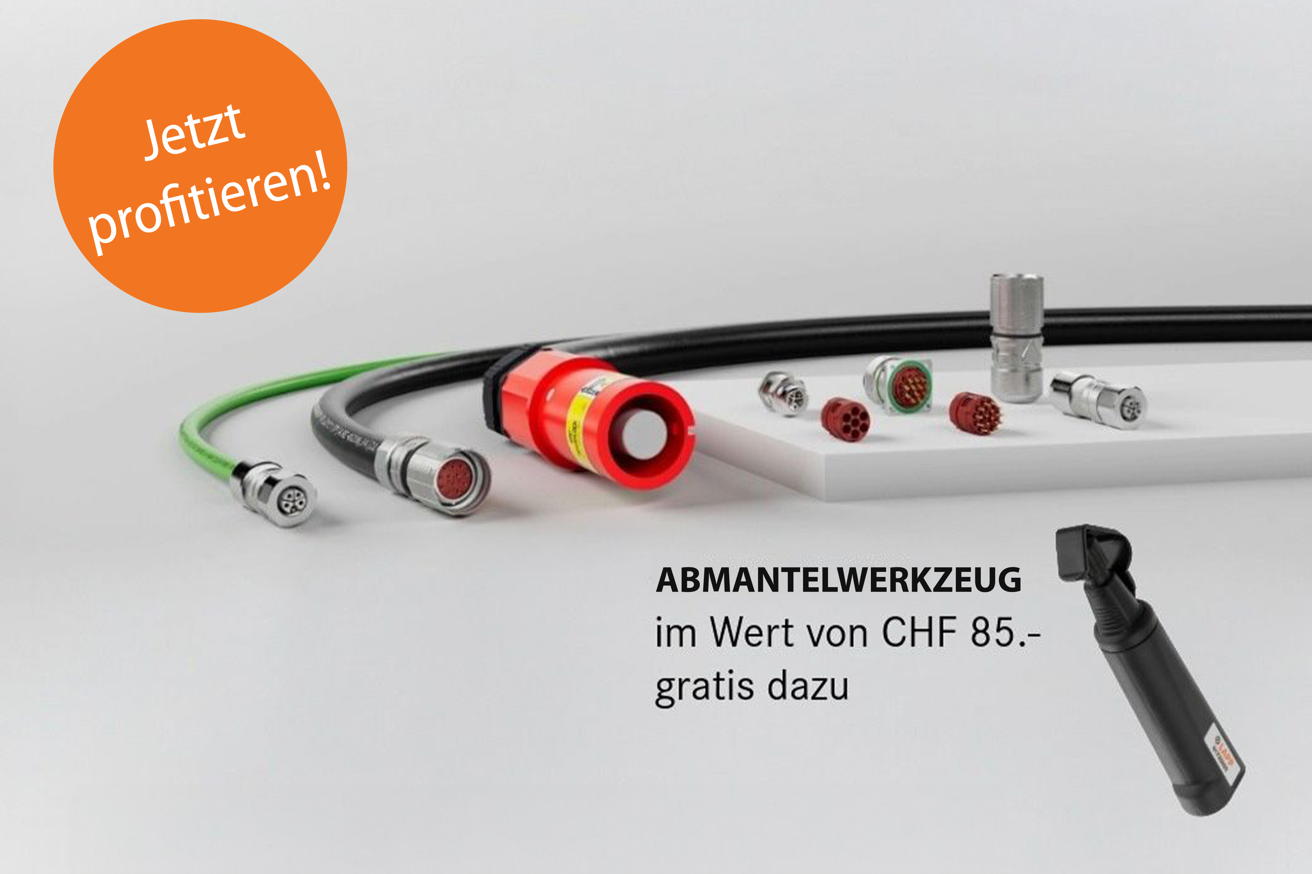 Hands holding with rings.