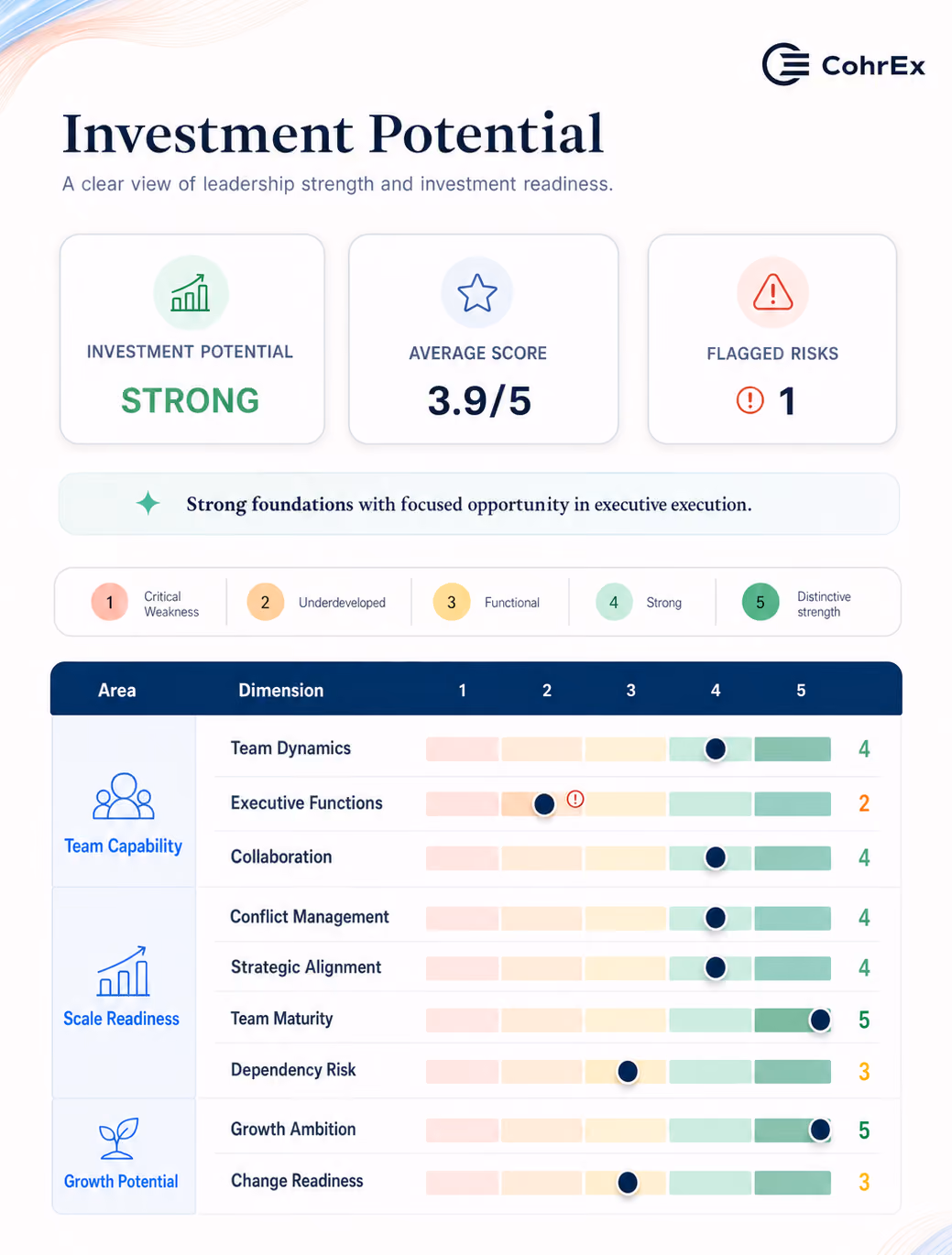 Investment potential report showing strong score 3.9/5 with one flagged risk and various team and growth metrics.