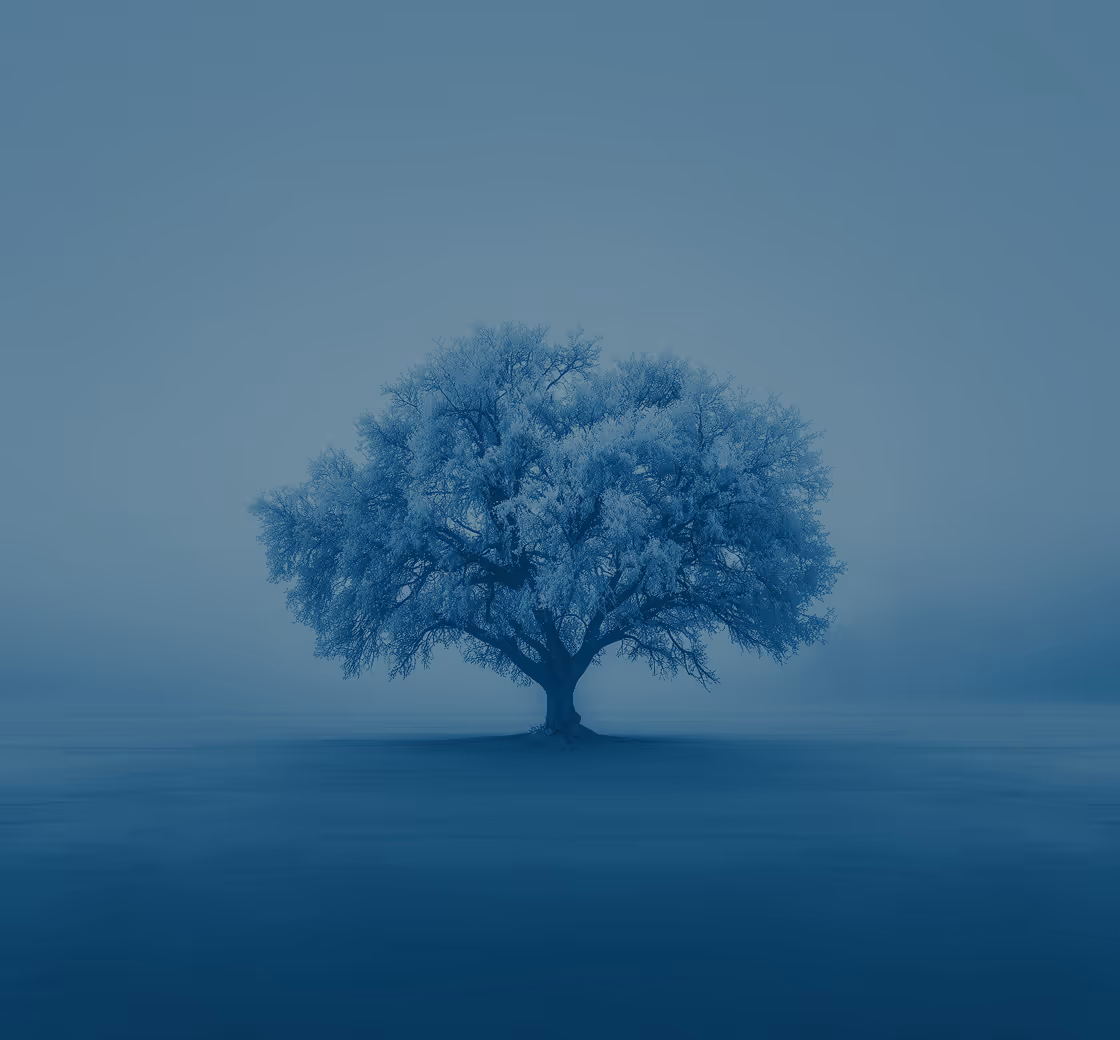 Echte Unabhängigkeit – frei von Interessenskonflikten