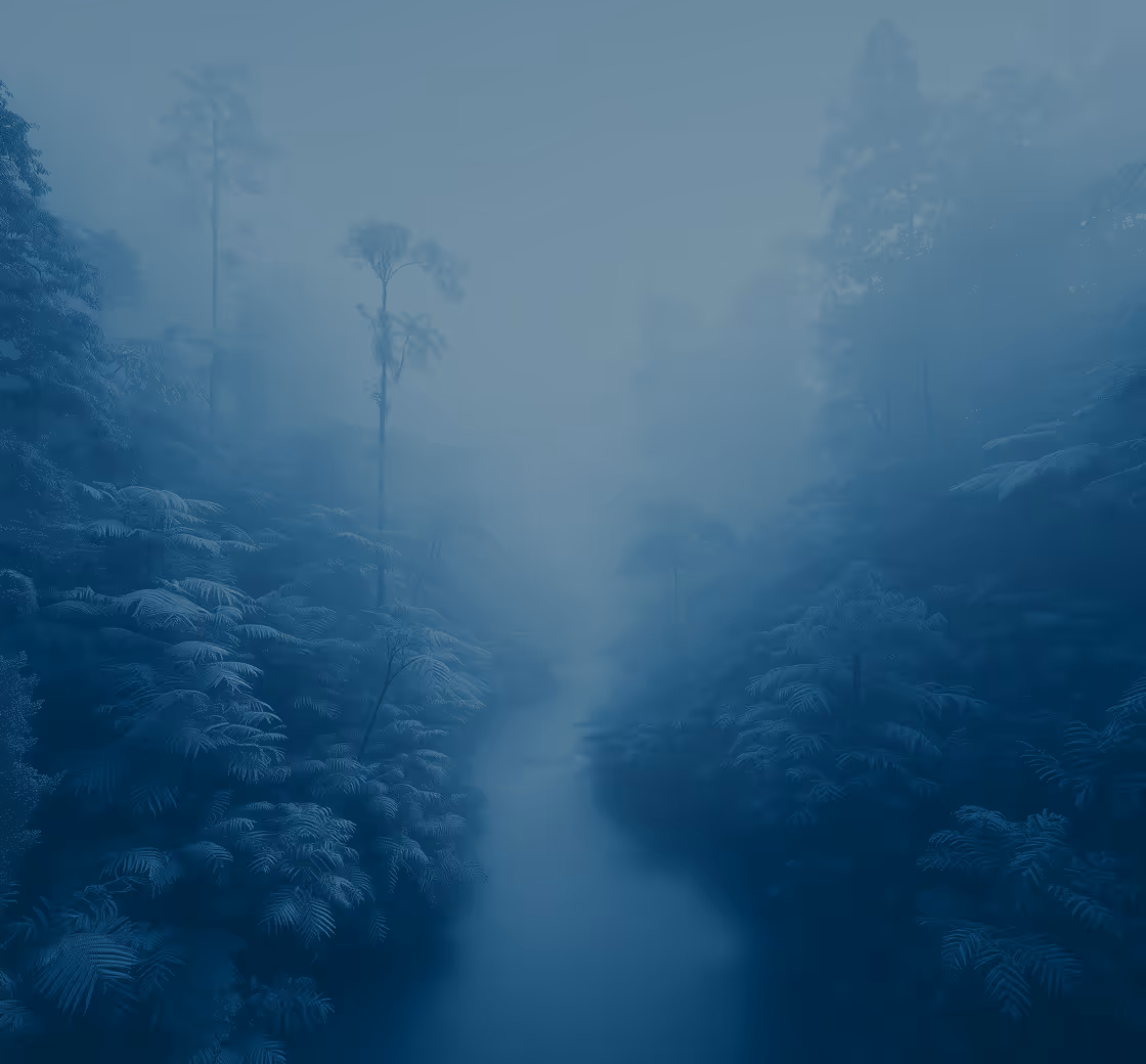 Eigene Handelssysteme & innovative Strategien