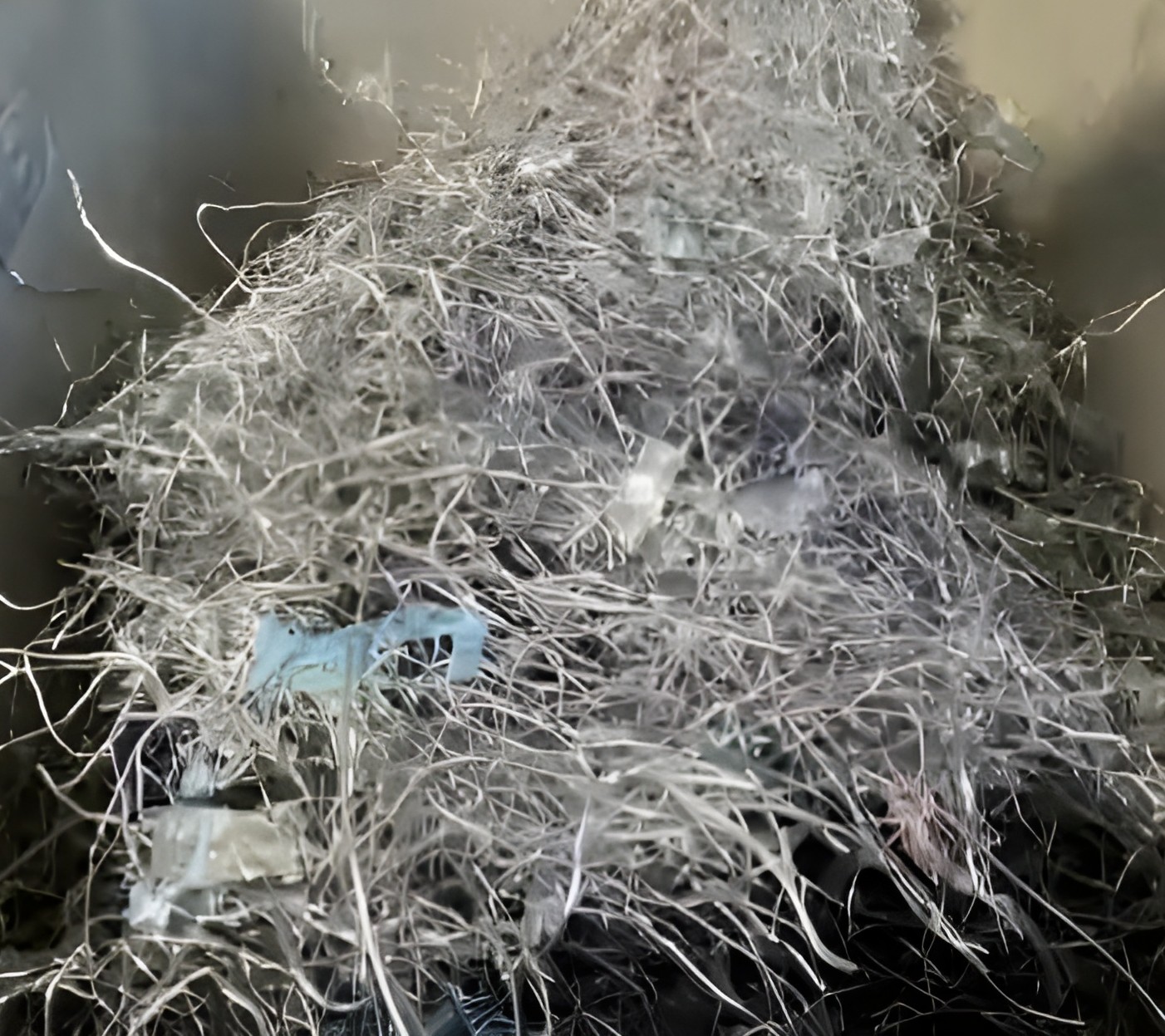 Ferrous