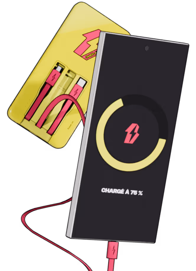 Chargeur de Oneflash