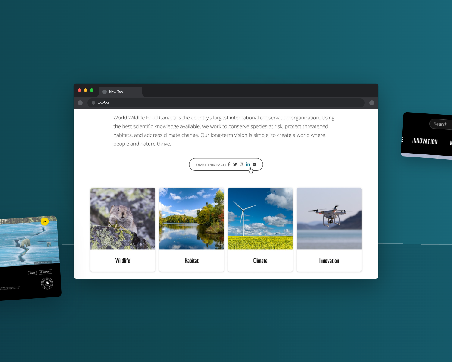 MPL redesign surface
