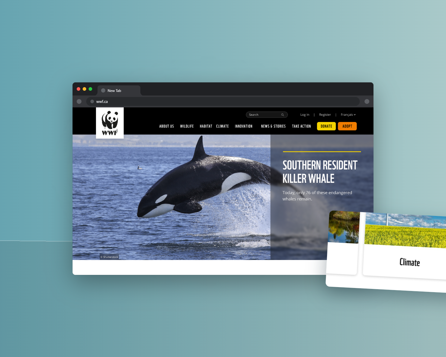 MPL redesign surface
