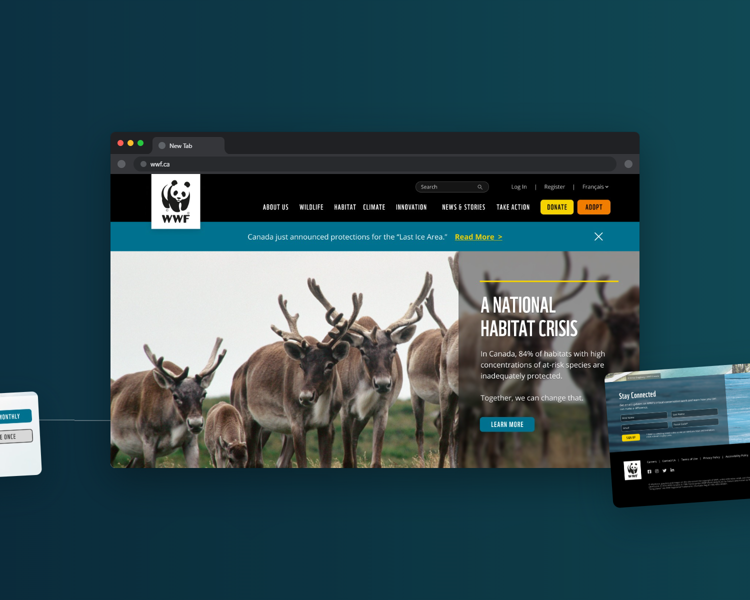 MPL redesign surface