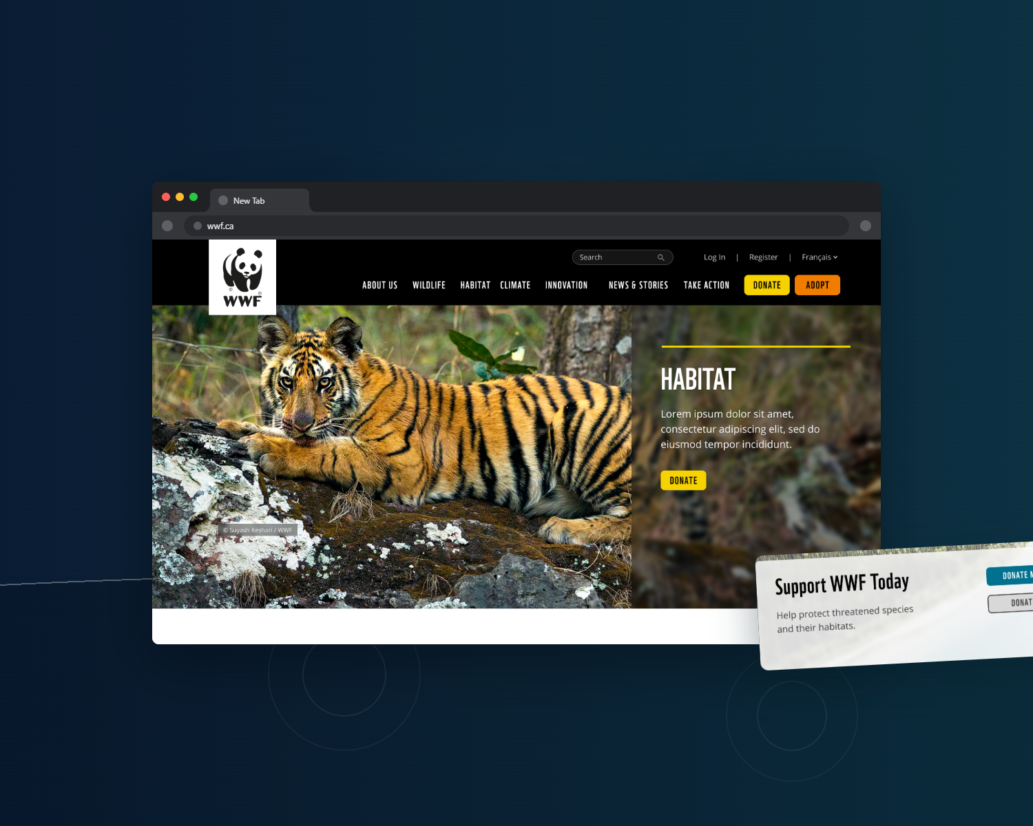 MPL redesign surface