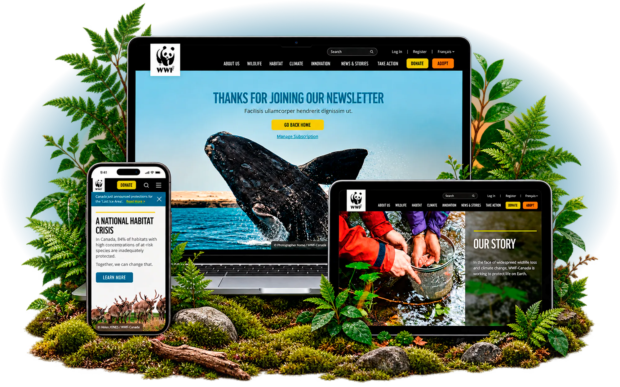 WWF-Canada product design by Wandr