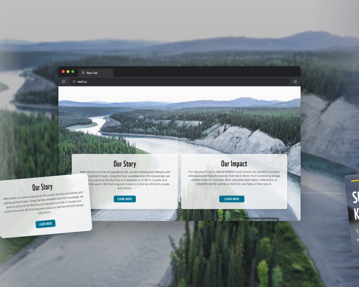 MPL redesign surface